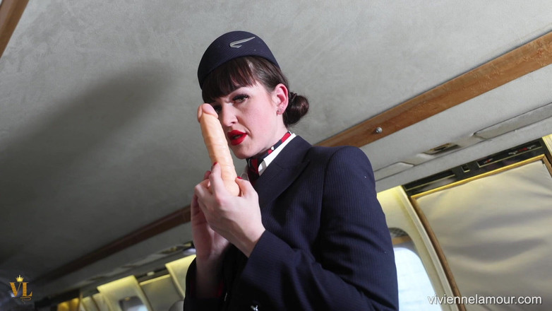 Vivienne l'Amour: Vivienne l'amour - private jet pov - bribery