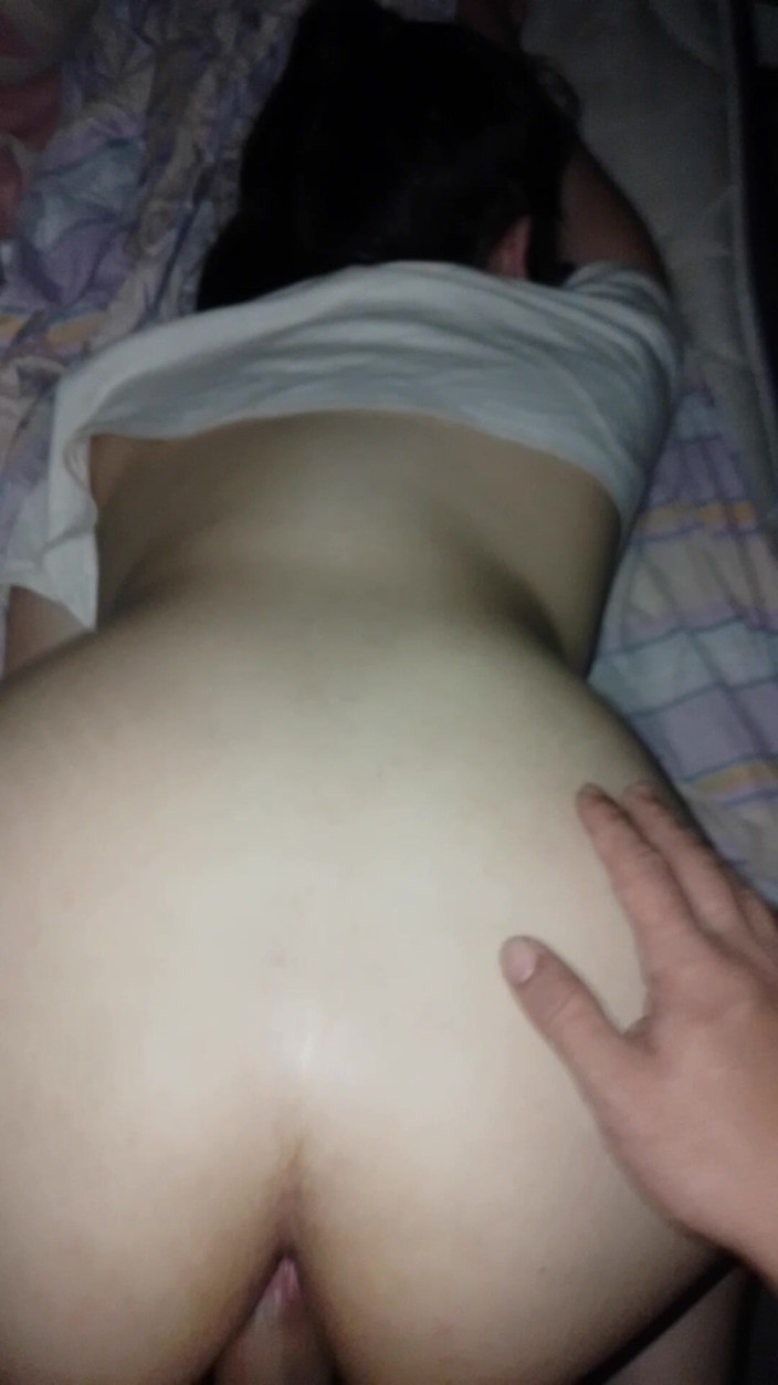 Zetaxxx: Domácí latina