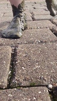 Trong những chiếc tất đẹp ở Biển Wadden của Wangerland