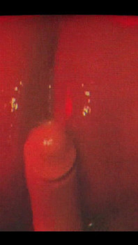 Riding Tf Out of the Phatrabbit Replica