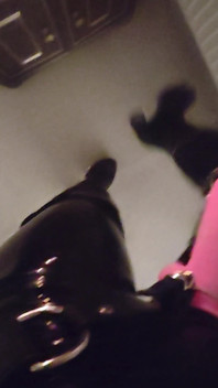 全乳胶 在我用假阳具进入你阴道前的瞬间--朱莉娅女主人