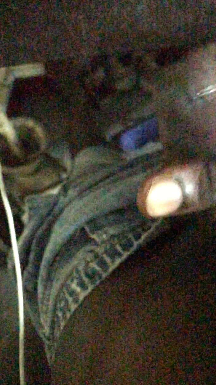 Master nuwan: Sl, Großer Schwanz, Handshake, Stiermeister