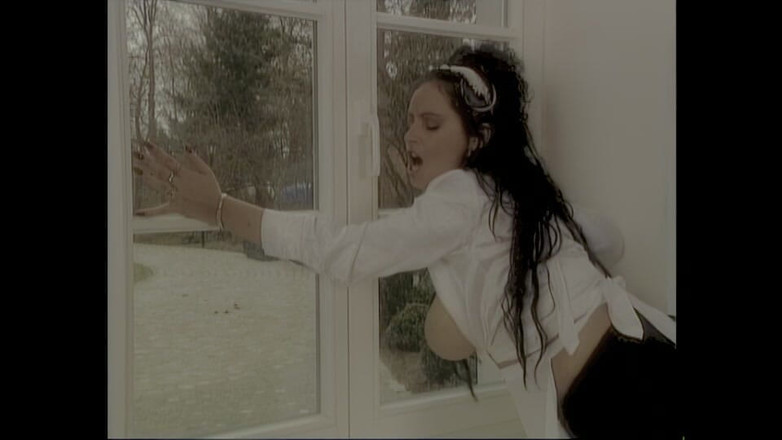 pornitaliangraffiti: 厨师不放过做服务员的机会