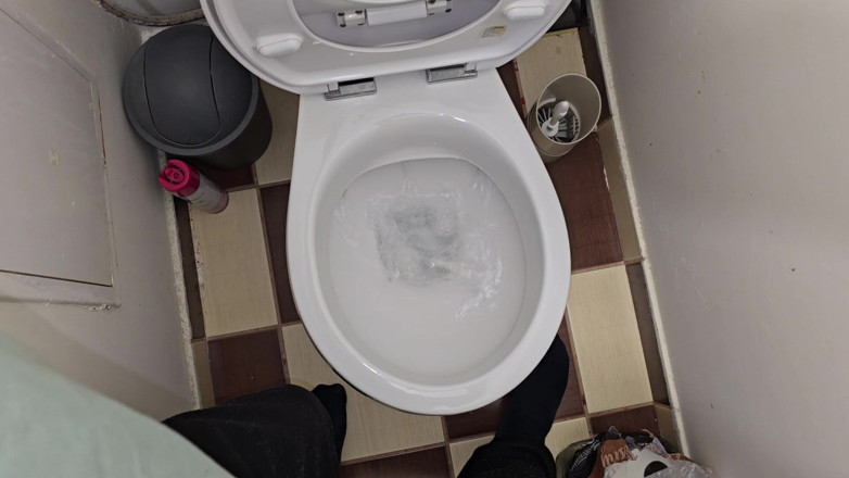 Alpha pee king: Đi tiểu vào nhà vệ sinh