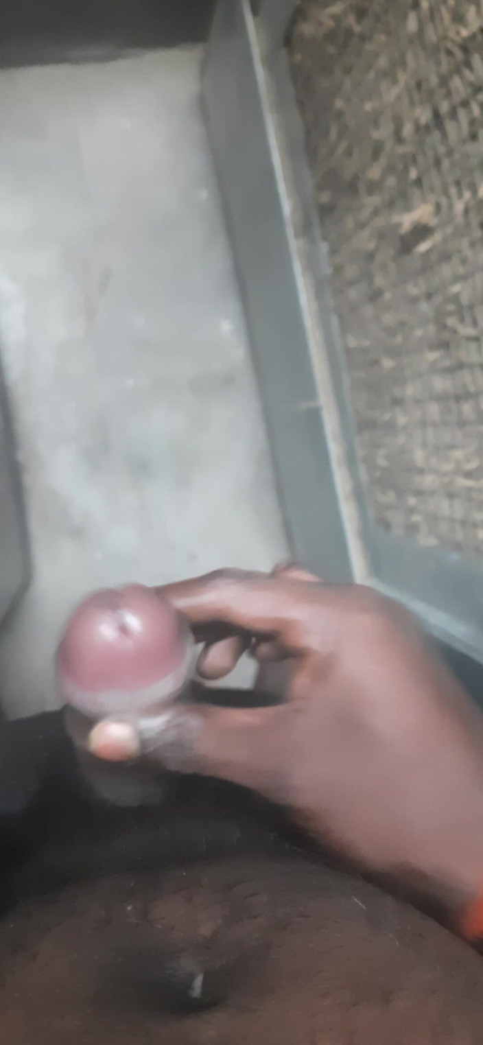 JoyfulPaw60: Oggi mi sono masturbato.