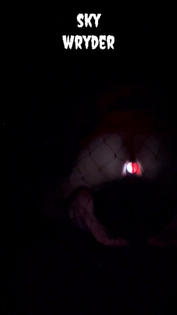 sky_wryder: Jsem hvězda