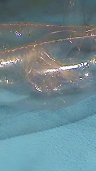 Clear Doll Fuck Masturbation