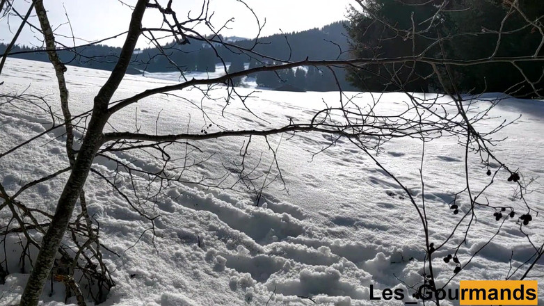 Les Gourmands: Збірка під час перемовки, формат II