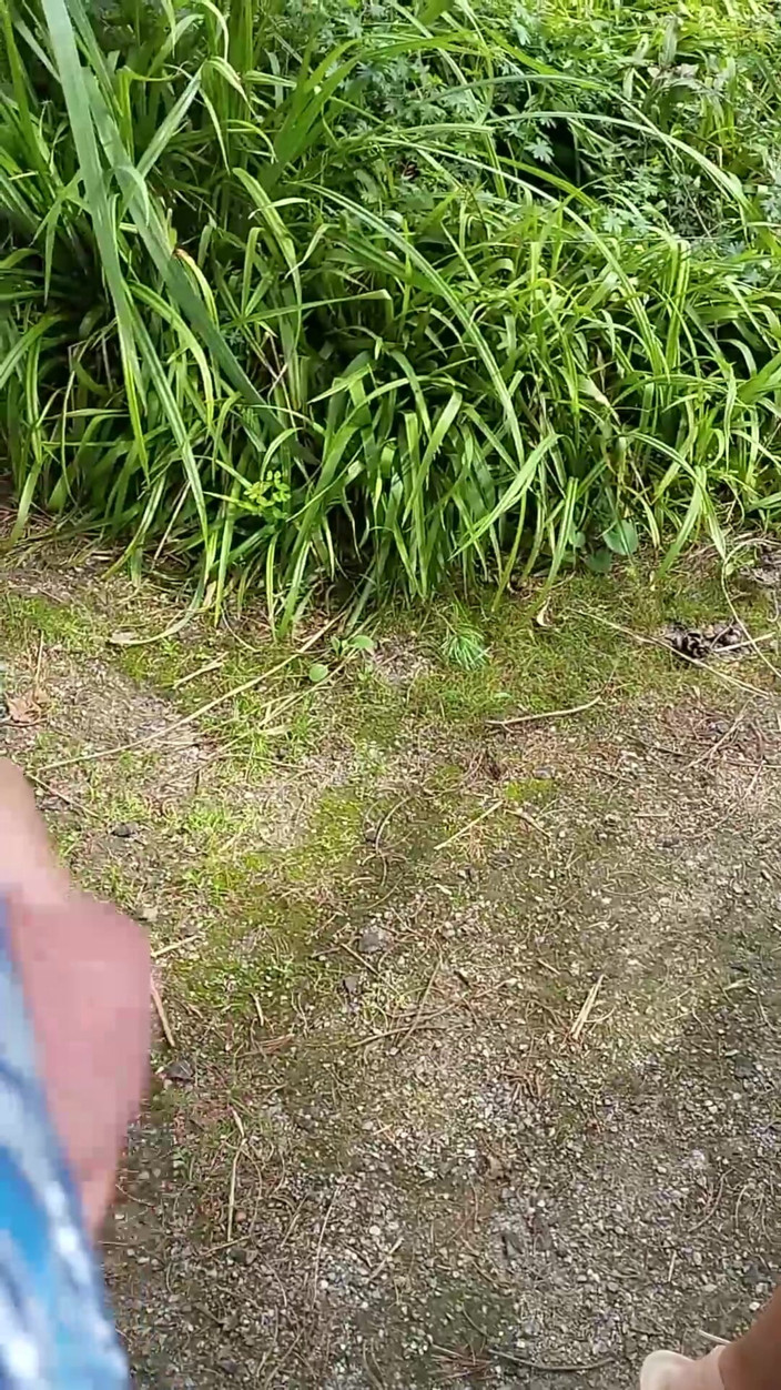 Serge Didier: J’ai invité une belle pute dans le parc à aller se...