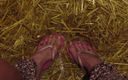 Barefoot Stables: Pissy stabiele voeten