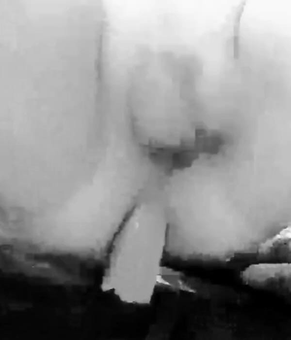 Northwoods Cock: Trening dildo