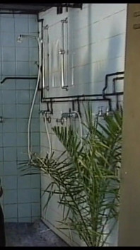 Alemã peituda com tesão está satisfeita em fazer sexo com anão com pau duro