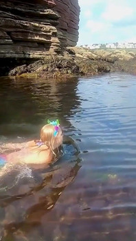 Mermaid Spotted! Wet Encounter in Lost Cove