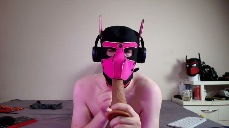 Alex GoodBoy: This Could Be Your Cock in Hound's Mouth