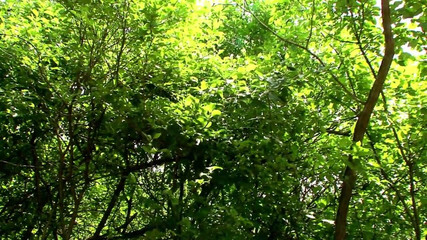 My girlfriend: Úžasná blondýnka má sólo sex v parku