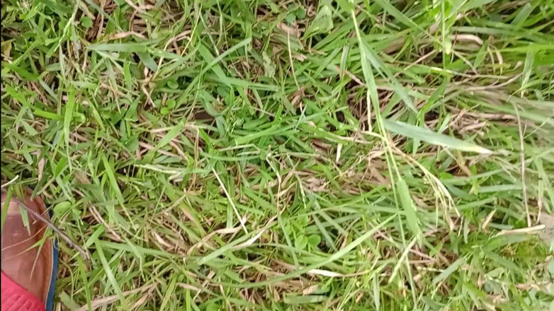 LinearOrnament35: Vlog sex třese a penis prodlouží