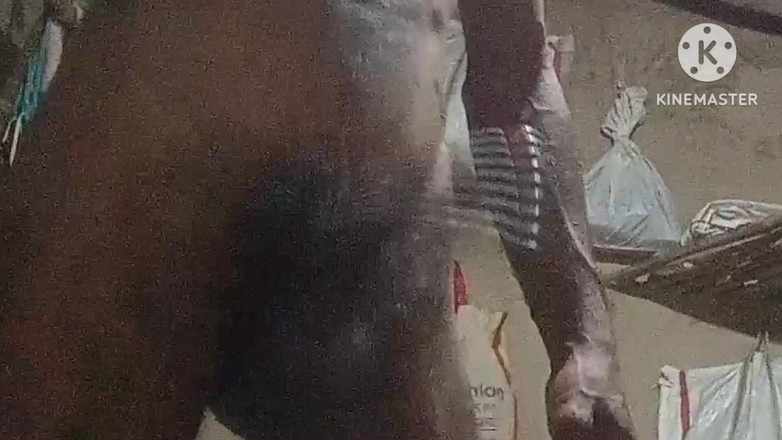 vijay Yadav: Bhabhi disetubuhi dengan penis 9 inci