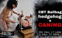 Training Zero: CBT 刺猬鞭打女主调教打屁股