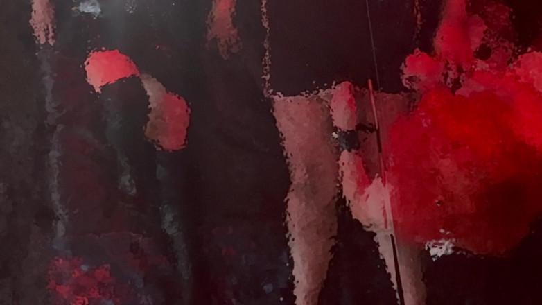 Aaexperinces trans: Domina satana, Lanitsa bear और हमारा टीवी सब