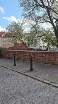 Caught Me Pissing Outdoor but It Didn't Stop Me