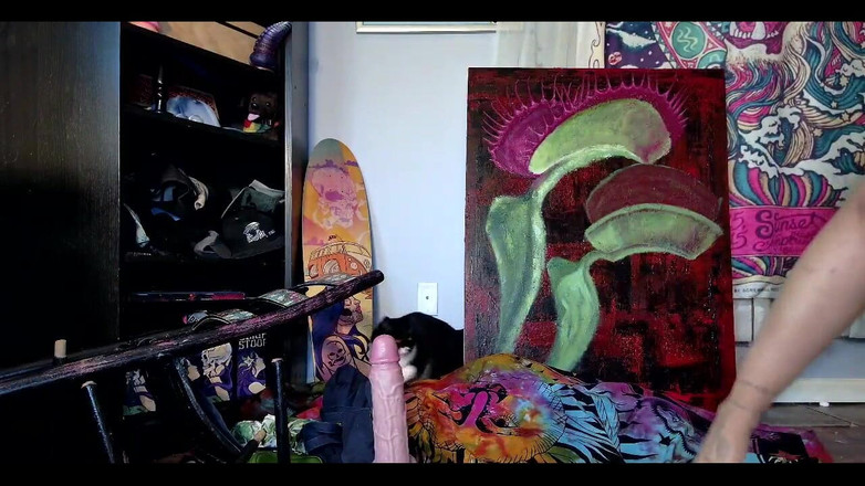 Suzy Wylde: Let's Get This Kitty Purring! Meow!