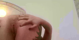 Mary Rider Pornstar: ストリーム開始