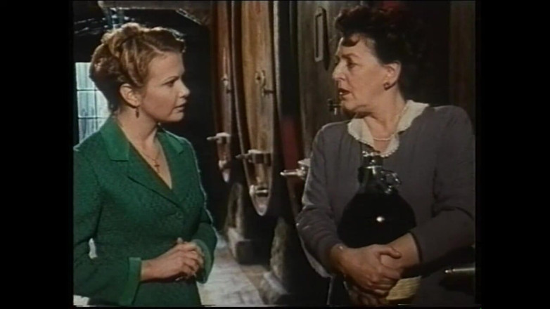 Vintage megastore: Secret Vintage Affairs