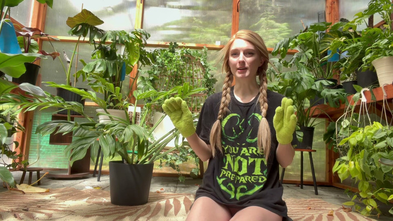 Destination Kat: Prepping Plants