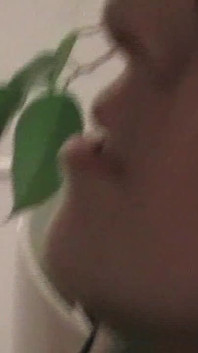 내 생일 선물