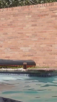 Swimming Pool Fuck