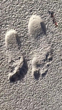 Porównanie rozmiaru 16 stóp z wydrukami piaskowymi na plaży