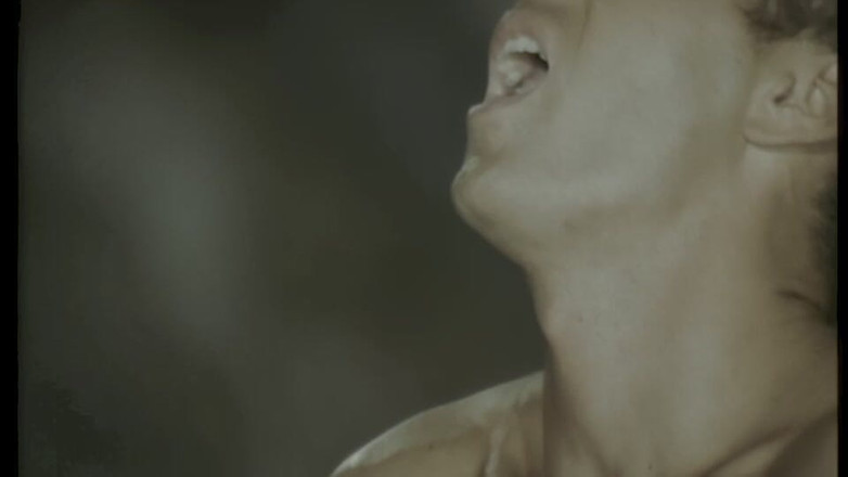 pornitaliangraffiti: Rocco Gibt Milly, Was Sie Will: Einen Riesigen Harten Schwanz