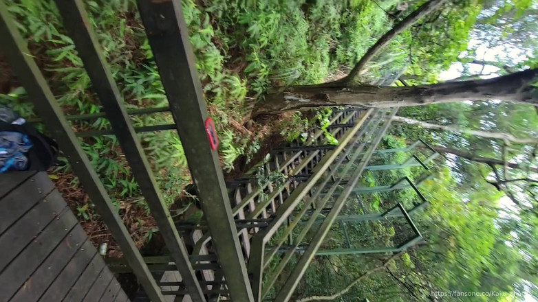 Calven: 인생은 산속에서 야생 대포를 열어준다