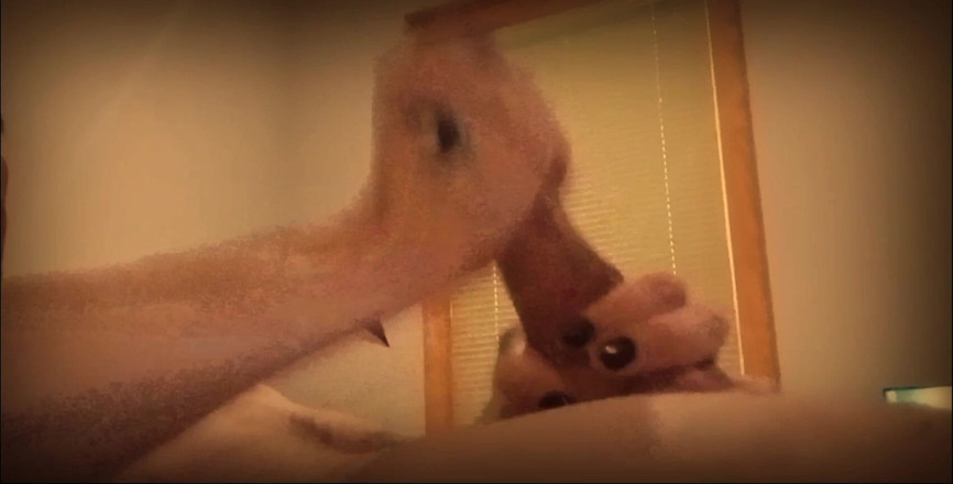 LeviathanX666: Masturbacja solo