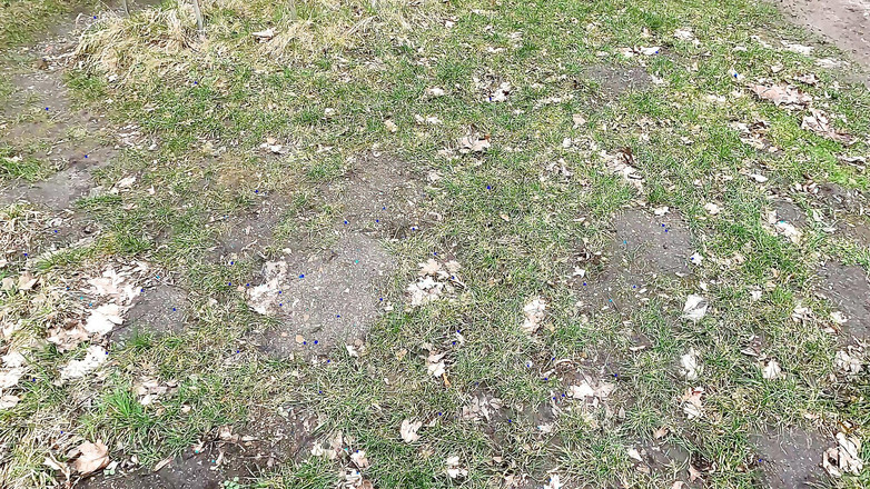 Bouncy Tits Action: 올드 캐슬의