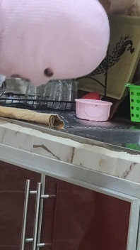 Sex Arab Cousin Sharmotta Salma