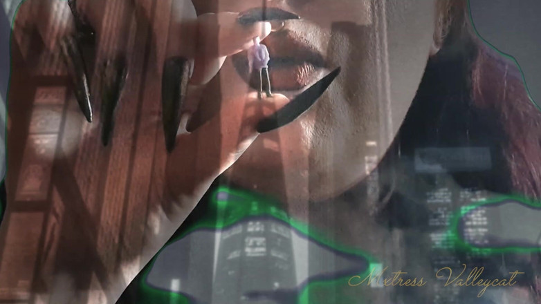 Mxtress Valleycat: The Holographic Giantess