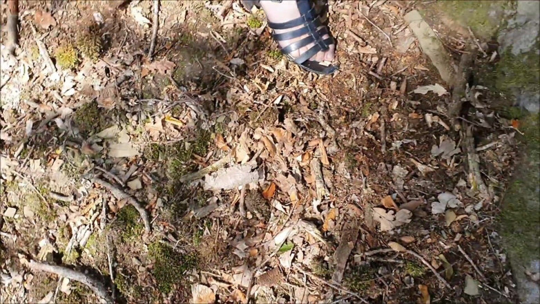 UserBitch1: Kacau di tepi hutan