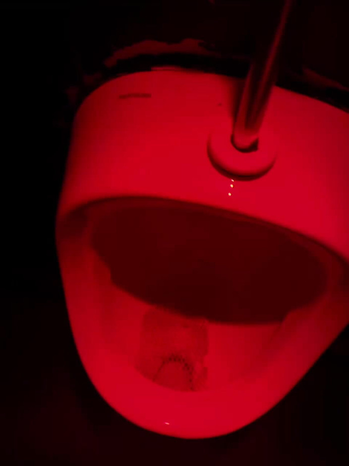 AmateurBoysPissing: Compilação De Mijando Amador Em Diferentes Tipos De Banheiros Públicos