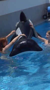 Le ragazze lesbiche si divertono in piscina con uno squalo gonfiabile