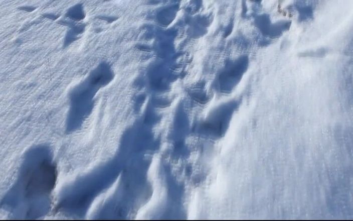 Watch4beauty: Snow Field