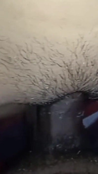 Rychlý sex teen přítelkyně