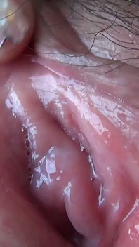 Close-up of a Plump Pussy