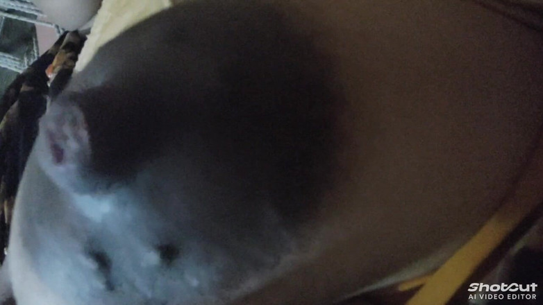 Dr_doom21: Bhabhi Ji Ke Milky Bubu bộ ngực nóng bỏng