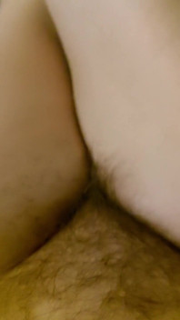 My Big Bush