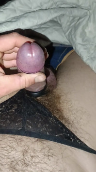 Walenie Konia