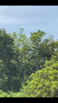 Wild & Milky: Nature Shower Edition Milky Super Power