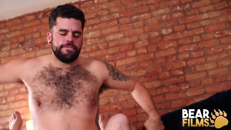 Bear Films: Bear Films - Bearsilien ošukaná nejlepším medvědem Tonym Riversem