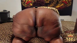 모카스월로우스의 야옹 믹스xx