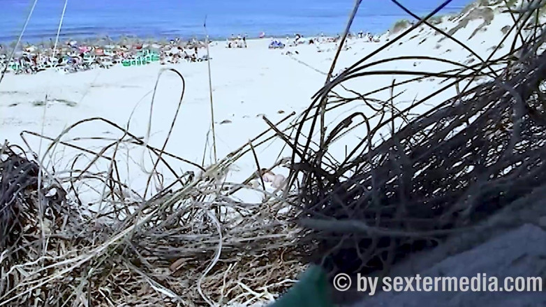 Beachbitches: Девушка С Пляжа Барбетта Раздевается В Кустах